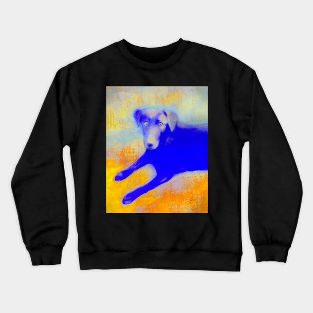 Dog In Blue And Yellow Crewneck Sweatshirt by art64